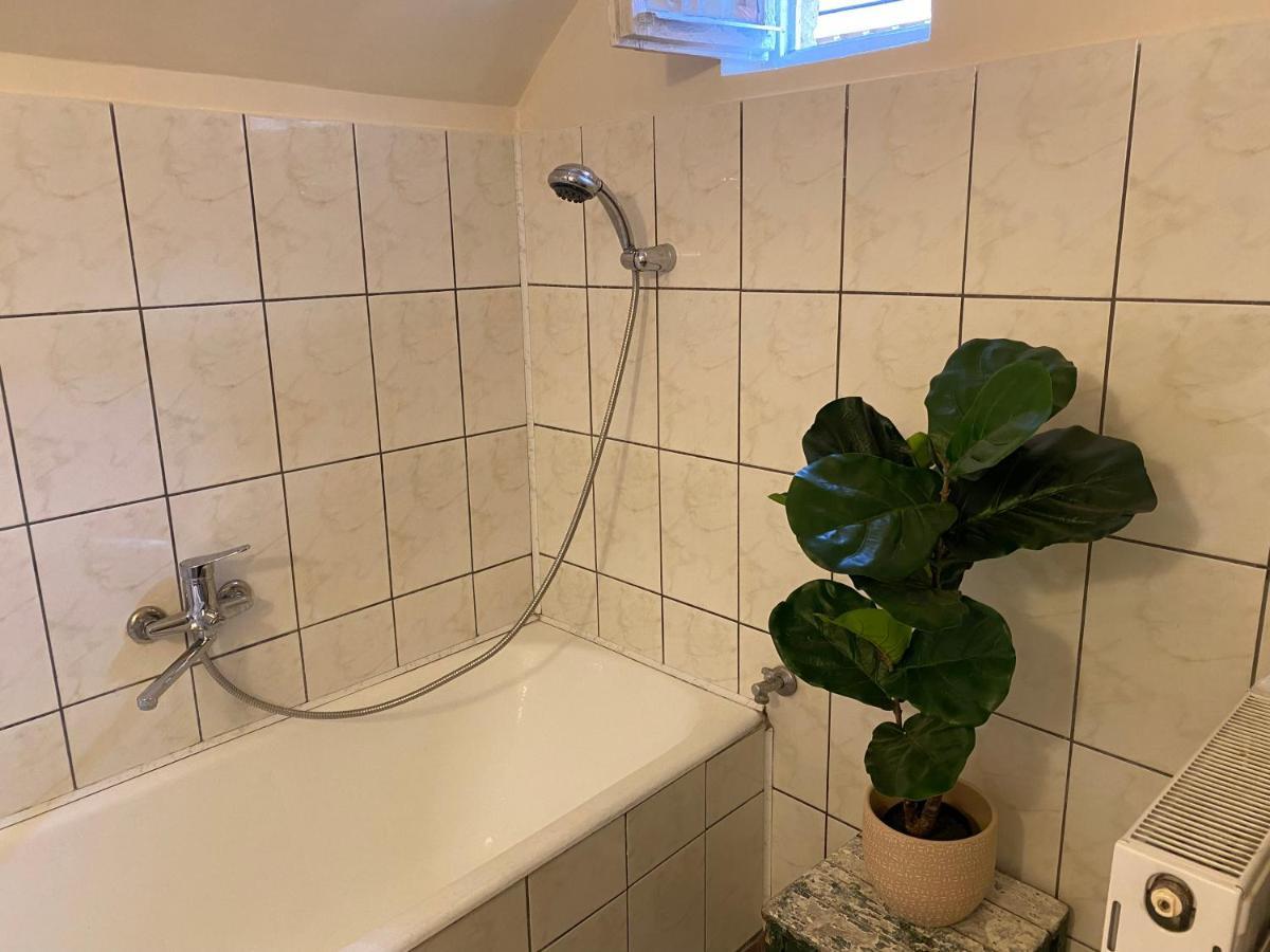 Rose'S Oldtown Apartment 브라쇼브 외부 사진