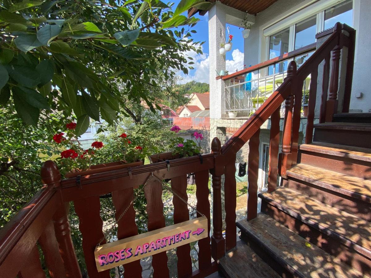 Rose'S Oldtown Apartment 브라쇼브 외부 사진