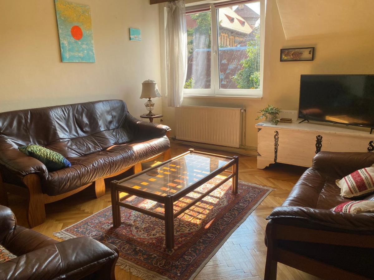 Rose'S Oldtown Apartment 브라쇼브 외부 사진