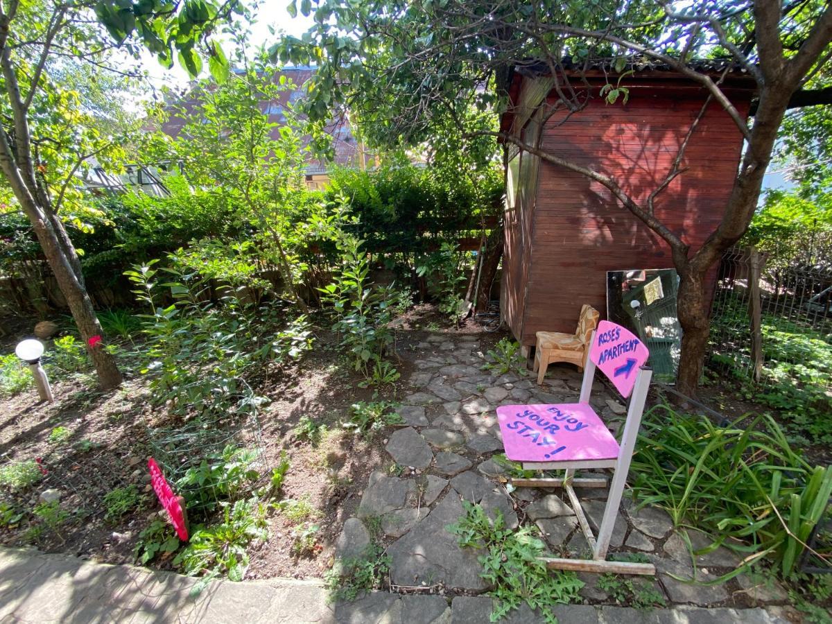 Rose'S Oldtown Apartment 브라쇼브 외부 사진