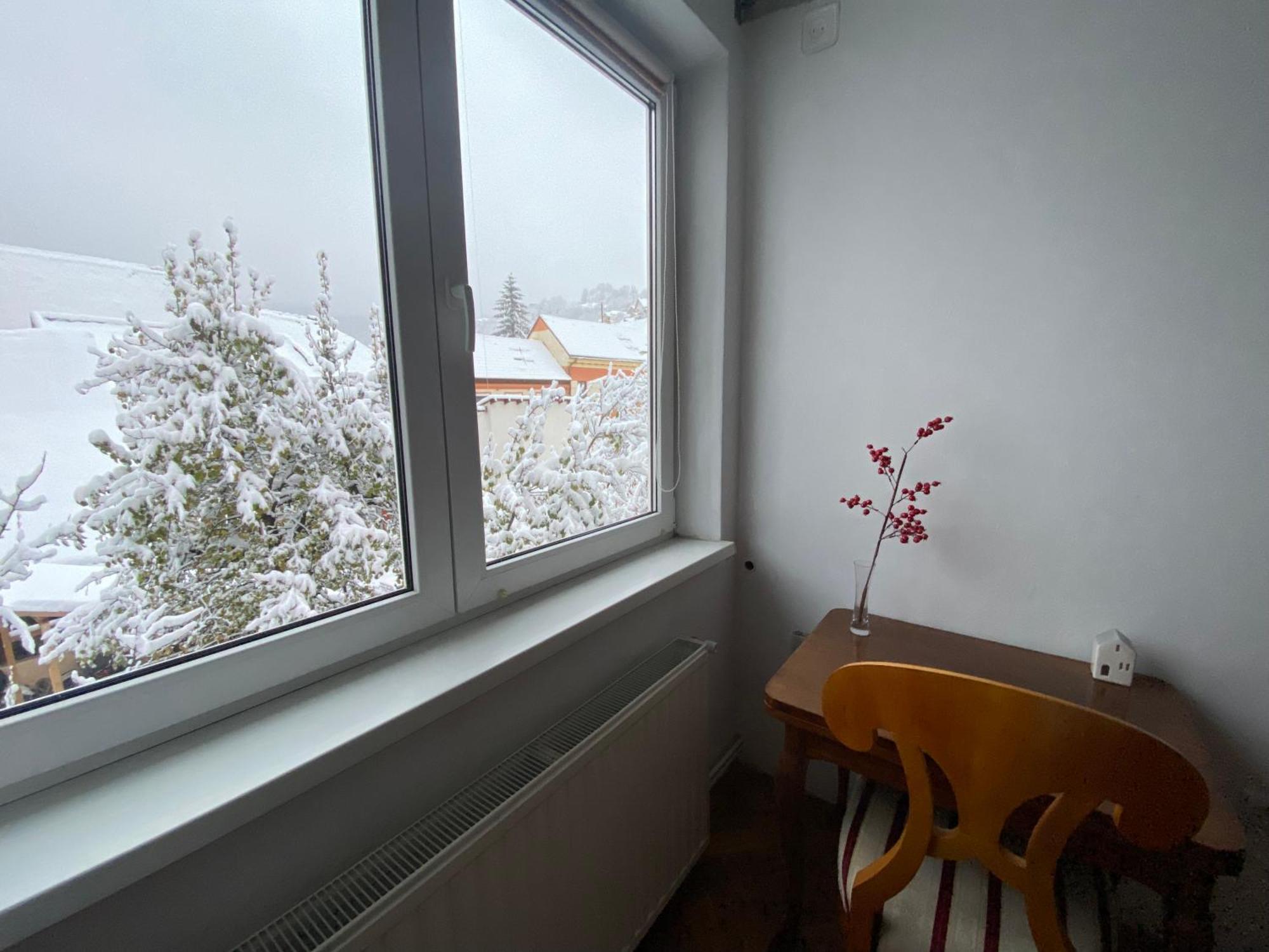 Rose'S Oldtown Apartment 브라쇼브 외부 사진