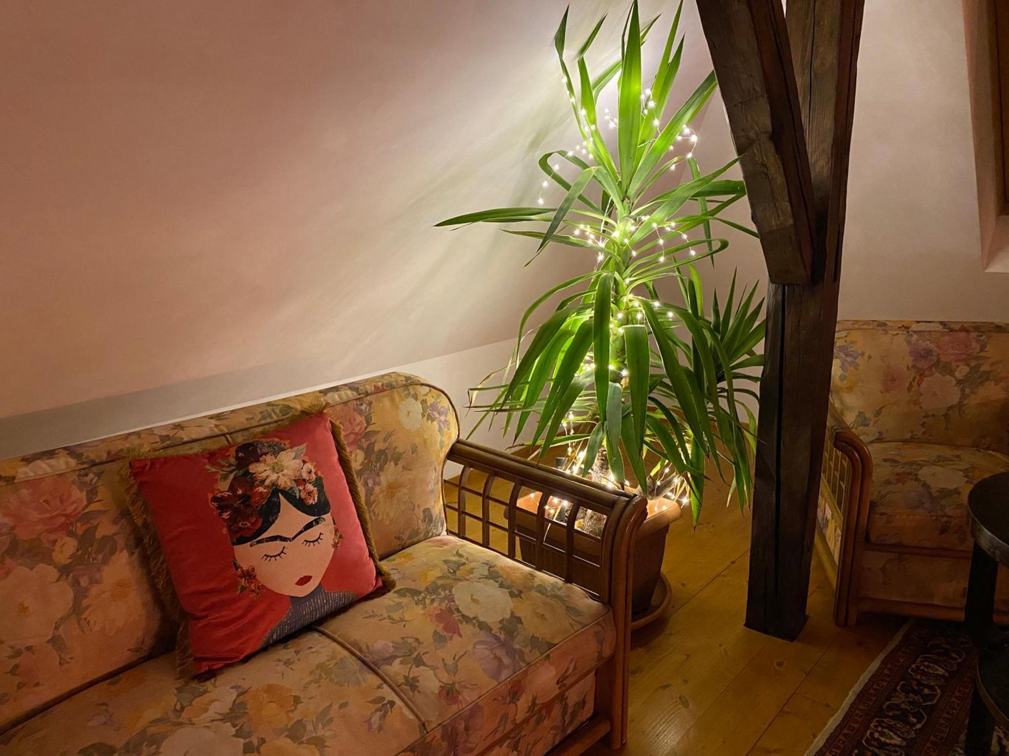 Rose'S Oldtown Apartment 브라쇼브 외부 사진