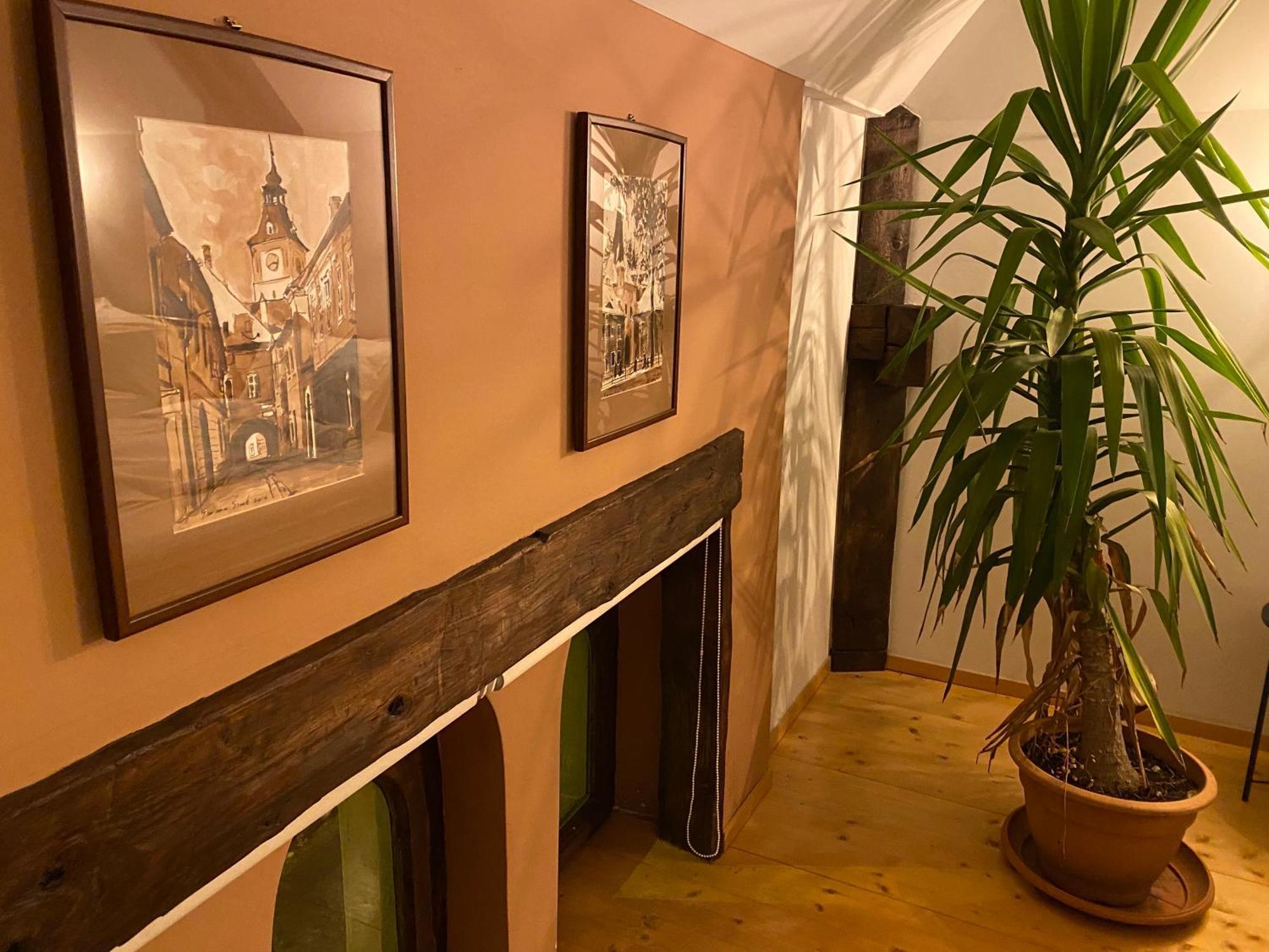 Rose'S Oldtown Apartment 브라쇼브 외부 사진