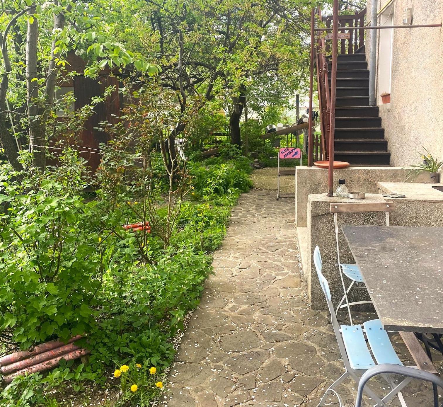 Rose'S Oldtown Apartment 브라쇼브 외부 사진