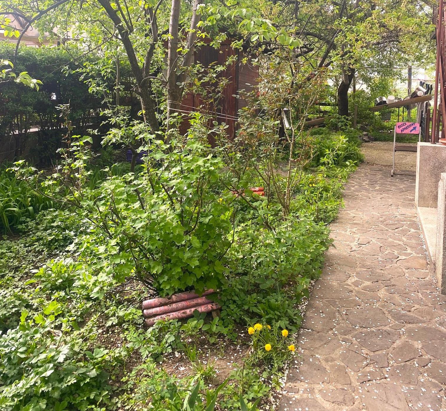 Rose'S Oldtown Apartment 브라쇼브 외부 사진