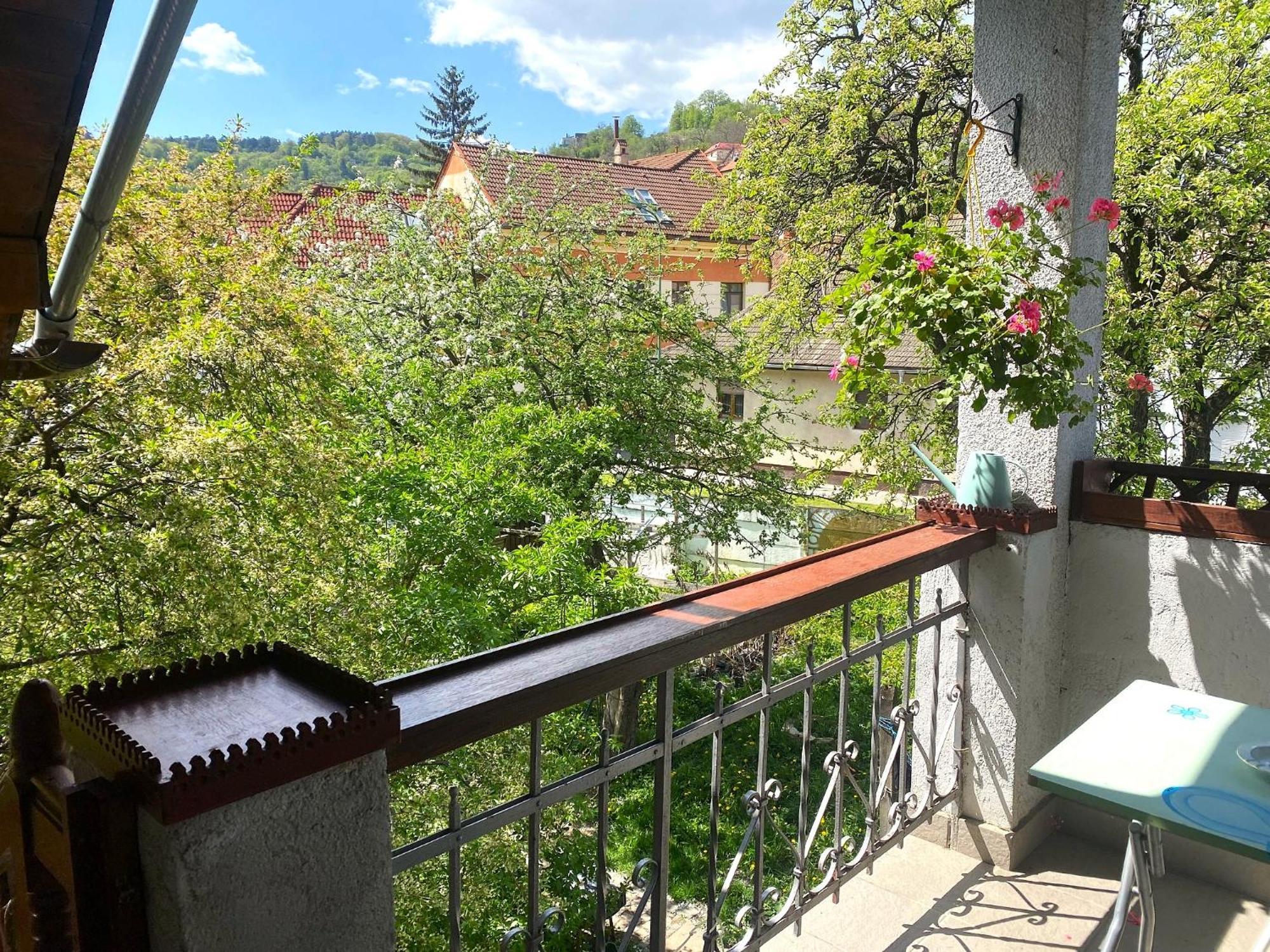 Rose'S Oldtown Apartment 브라쇼브 외부 사진