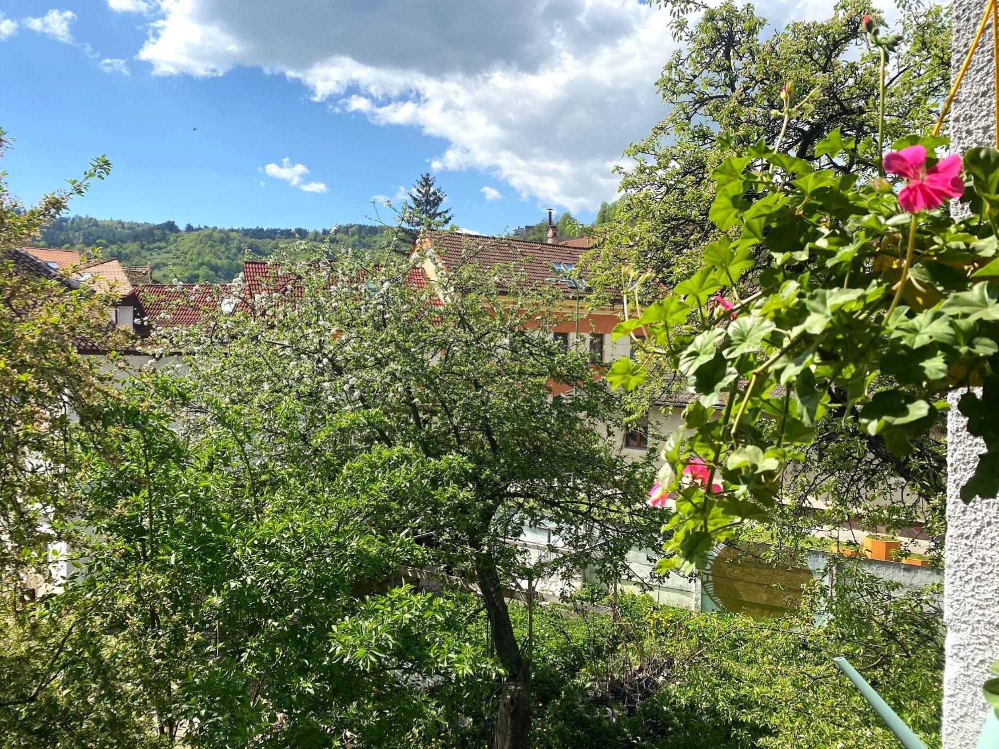 Rose'S Oldtown Apartment 브라쇼브 외부 사진